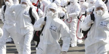 Condiciones para detener la pandemia del coronavirus