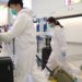 ¿En qué consiste la fase 3 del coronavirus?