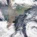 Temen posible Cisne verde en  el mundo