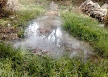 Empresa Toyoda Gosei contamina el río Paisanos
