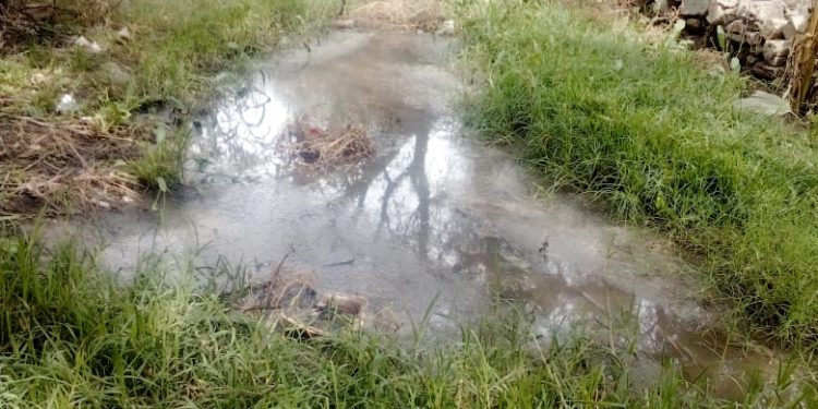 Empresa Toyoda Gosei contamina el río Paisanos