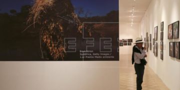 World Press Photo cancela entrega de premios por coronavirus