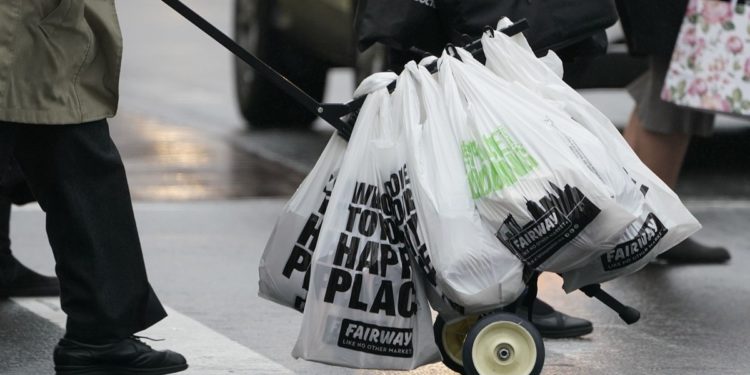 Nueva York también prohíbe utilizar bolsas de plástico
