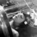 Películas del cine Alemán que plasmaron el fin del mundo