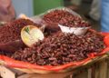 Estudiantes mexicanos elaboran carne basada en chapulines