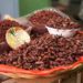 Estudiantes mexicanos elaboran carne basada en chapulines