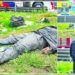 Embolsado “revive”, sólo estaba dormido