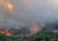 Convoca Protección Civil Municipal a prevenir incendios forestales