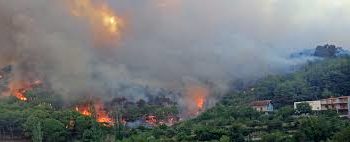 Convoca Protección Civil Municipal a prevenir incendios forestales