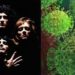 #Video Parodia de “Bohemian Rhapsody” del coronavirus se vuelve viral
