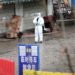 Descubren a familia viviendo en el mercado de Wuhan y no presentan síntomas