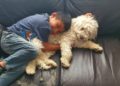 Hallan a perrito perdido, así reacciona el niño que lo buscaba