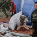 Casi cinco millones de niños nacidos en Siria solo conocen la guerra