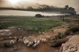 El efecto del coronavirus en la crisis climática
