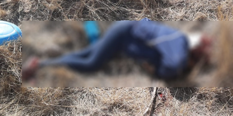 FGE investiga la aparición del cuerpo de una mujer en la Prolongación Salk