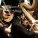 La Orquesta Sinfónica Nacional Egmont de  Beethoven