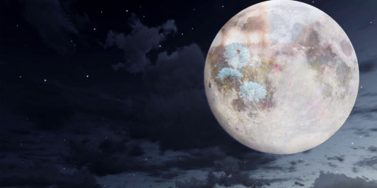 Cómo y a qué hora ver la superluna de marzo