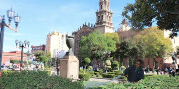 Ayuntamiento erradica fauna nociva de espacios públicos
