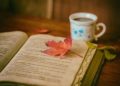 23 de Abril ‘Día Mundial del Libro y de los Derechos de Autor’