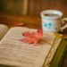 23 de Abril ‘Día Mundial del Libro y de los Derechos de Autor’