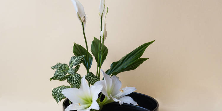 Ikebana: una técnica japonesa que te pone en contacto con lo natural
