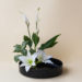 Ikebana: una técnica japonesa que te pone en contacto con lo natural