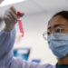 China encuentra anticuerpos eficaces contra el coronavirus