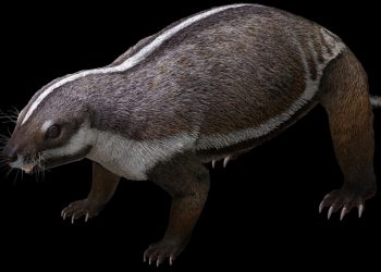 Descubren el esqueleto casi completo de un extraño animal llamado “bestia loca”