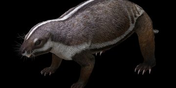 Descubren el esqueleto casi completo de un extraño animal llamado “bestia loca”