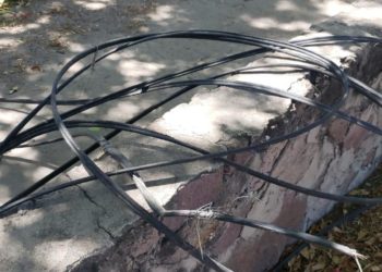Hombre es sorprendido robando cable en Boulevard Río Santiago