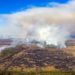 La nube de los incendios de Chernóbil cubre media Europa
