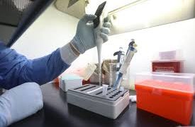 OMS intenta prevenir posible acaparamiento de futura vacuna anti-COVID-19