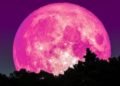 La superluna rosa de abril, fecha para verla