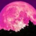 La superluna rosa de abril, fecha para verla