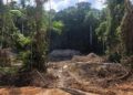 Guardianes de la Amazonia son asesinados durante cuarentena