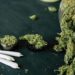 Lo detienen con marihuana