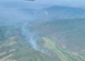 Dos incendios forestales en el estado