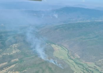 Dos incendios forestales en el estado