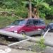 Tormenta en la Huasteca deja árboles y espectaculares caídos