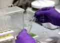 Remdesivir: Prueba inicial contra el coronavirus tiene éxito
