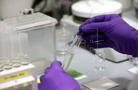 Remdesivir: Prueba inicial contra el coronavirus tiene éxito