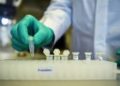 Dan luz verde en China a tratamiento de bilis de oso contra coronavirus