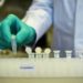 Dan luz verde en China a tratamiento de bilis de oso contra coronavirus