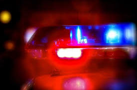 Detienen a objetivo criminal en Guadalcazar