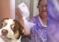 #Ladyzote, la mujer dijo que el jabón zote es para perros y medio México se indigna