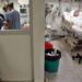 CMDX calcula mil pacientes en terapia intensiva por Covid-19