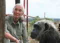 #Video La pandemia es un aviso del peligro de cazar, traficar y consumir animales salvajes