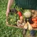 Agricultura ecológica para contrarestar cambio climático y la nueva pandemia