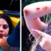 #Video Lizbeth Rodríguez cae a un manglar con cocodrilos
