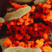 Cómo el cuerpo humano se defiende del nuevo coronavirus SARS-Cov-2
